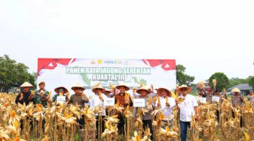 Kapolda Riau Pimpin Panen Raya Serentak Kuartal III 2025, untuk Ketahanan Pangan