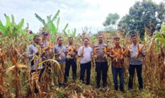 berita-pilihan-foto