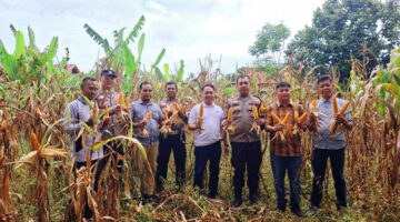 Tak Hanya Jaga Kamtibmas, Polsek Tapung Hilir Bina Petani Sukseskan Ketahanan Pangan Kampar